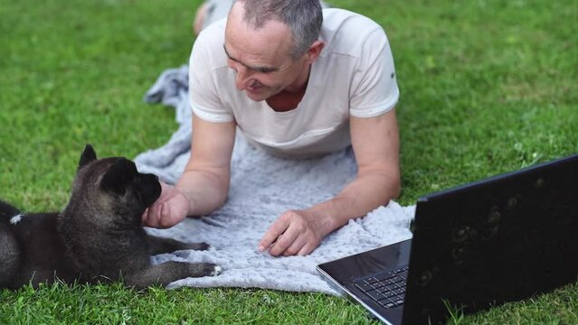 A man lies on the lawn next to the house, communicates with a month-old puppy of the American Akita. A dog breeder works on a laptop, communicates with customers, studies information. High quality 4k