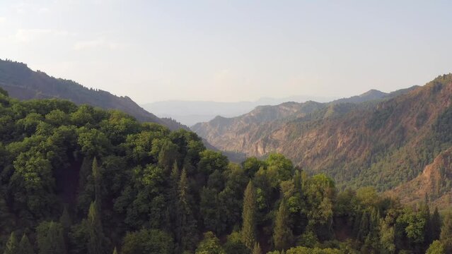 Aerial shot majestic panorama of the mountain range covered with spruces and trees overlooking village Arkit. Mountains in Central Asia panorama on sunny summer day.