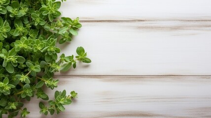 Aromatic Marjoram Herbs Photorealistic Horizontal Background. Healthy Vegetarian Diet. Ai Generated Backdrop with Copyspace. Aromatic Marjoram Herbs.