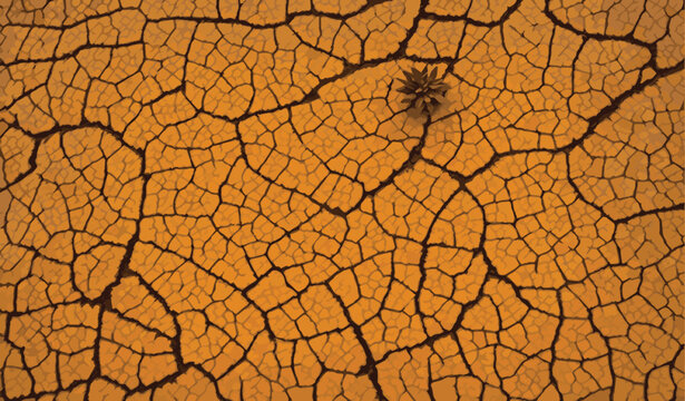 Dry and broken orange soil and dry tiny tree vector background , texture of grungy dry cracking parched earth