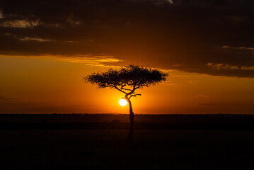 Africa's golden hour sunset