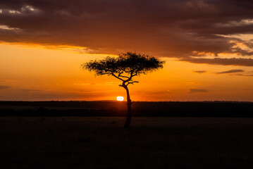 Fototapeta na wymiar Africa's golden hour sunset