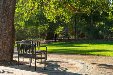 Tranquil scene at Kings Park and Botanic Garden. Perth, Western Australia.