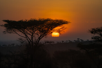 Africa's golden hour sunset