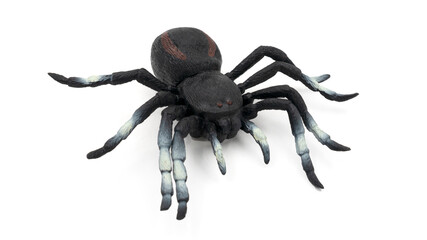 Rubber spider toy isolated on white background