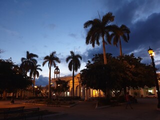 Obraz premium palm trees at sunset