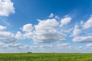 blue sky background with white striped clouds in heaven and infinity may use for sky replacement