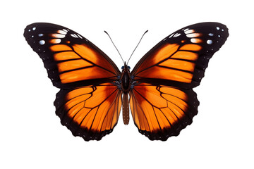 butterfly Isolated on transparent background, Generative Ai