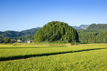 糸魚川・八幡神社周辺の風景