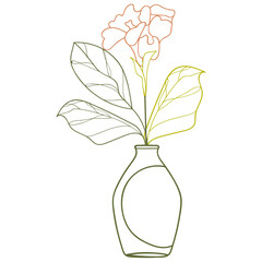 Flower vase illustration