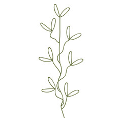 Fototapeta na wymiar Plant leaves illustration