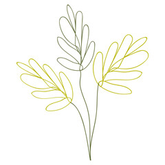 Plant leaves illustration
