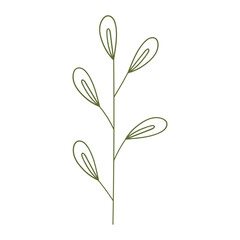Plant leaves illustration
