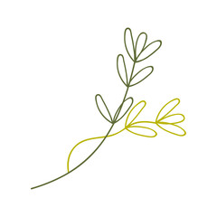 Plant leaves illustration