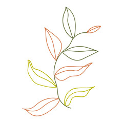 Plant leaves illustration