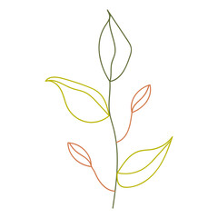 Plant leaves illustration