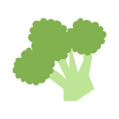 Broccoli flat illustration
