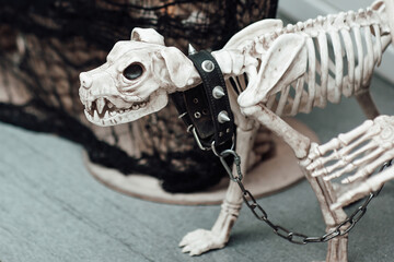 Party decoration spooky dog skeleton for halloween holiday