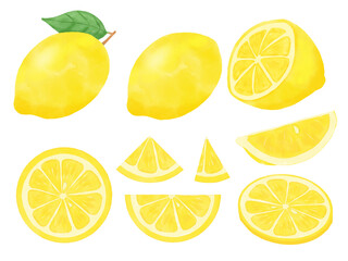 レモンと輪切りのカットなどの水彩イラストセット
