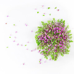 花穂じそ　あしらい