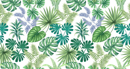 Fototapeta premium Leaf Variety of types. Seamless pattern with tropical leaves white blackground used for decorative design.