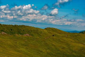 Bieszczady Mountains, sunny day, road on the top of Polonyna