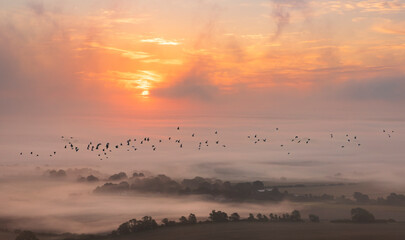Misty morning sunrise from Bo Peep hill on the south downs east Sussex south east England UK - obrazy, fototapety, plakaty