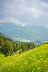 Obraz premium Green meadows with mountains and forest on backgound at sunset in summer, Italy