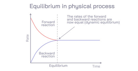 Physical equilibrium is defined as the equilibrium which develops between different phases or physical properties. In this process, there is no change in chemical composition vector.
