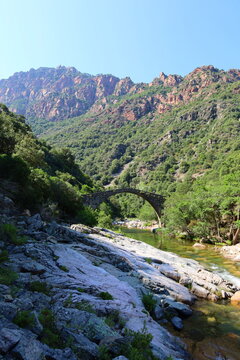 Figarella river in the Bonifatu forest in Corsica next to Calvi