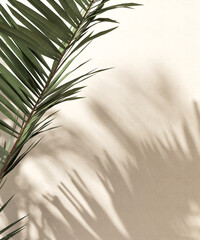 Green tropical palm tree in sunlight with leaf shadow on blank beige brown wall for luxury beauty,...