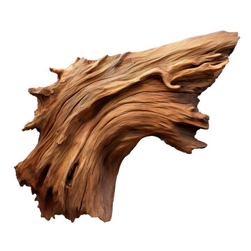 rosewood tree trunkisolated on transparent background, PNG