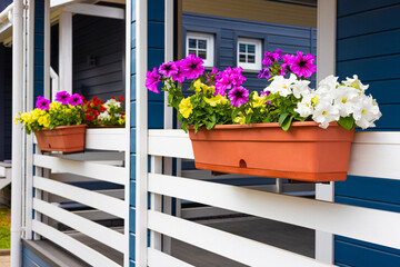 Pallet with flowers on the veranda of the house.