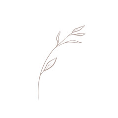 Line art botanical element. Line art branch.