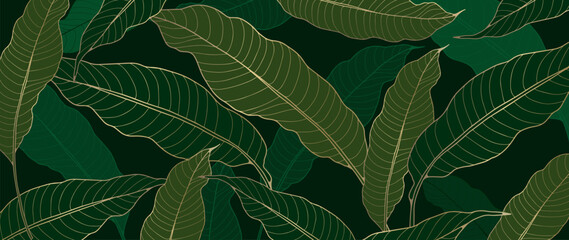 Luxury botanical background with green banana leaves and golden outline. Botanical background for decor, covers, postcards and presentations.