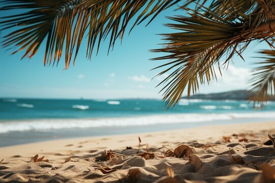 Seaside getaway Blurred palm, beach bokeh backdrop frame sand, evoking summer escape Generative AI