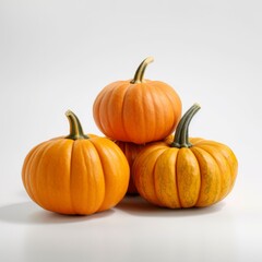 pumpkins on a white background 