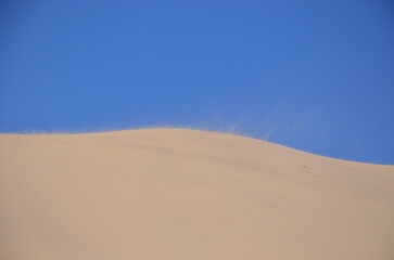 sand dunes in the desert