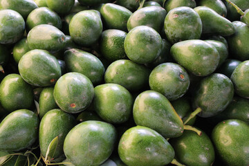 healthy food natural background of fresh green avocado
