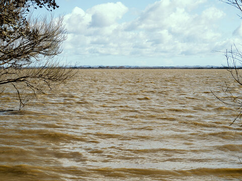 Polluted waters of Lake Waikare.  High trophic level index.