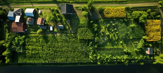 Rural farm filed landscape background.  Generative AI technology.