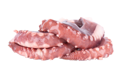 Squid tentacles isolated on white background. Fresh raw gigant squid.