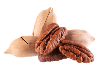 Pecan nuts isolated on white background. Shelled and unshelled pecan. Clipping path.