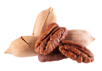 Pecan nuts isolated on white background. Shelled and unshelled pecan. Clipping path.