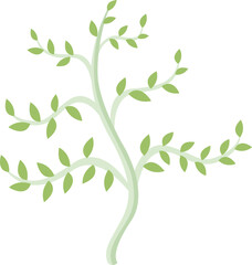 Minimalist flat summer tree with green little leaves on transparent background. Organic forest concept. Vector simple illustration.