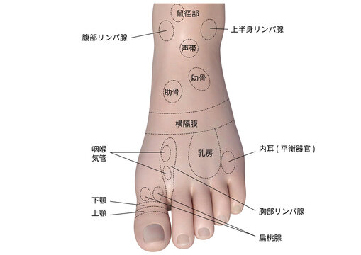 つぼ 足ツボ Images – Browse 512 Stock Photos, Vectors, and Video