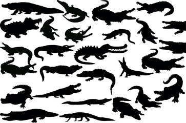 Black silhouettes of alligators and crocodiles on a white background. A vector illustration for wildlife, nature, and education.