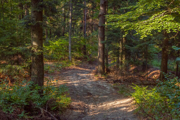Sucha Góra (mountain next to Roztoka-Brzeziny in Lesser Poland | Sucha Góra (nieopodal Roztoki-Brzeziny w Małopolsce