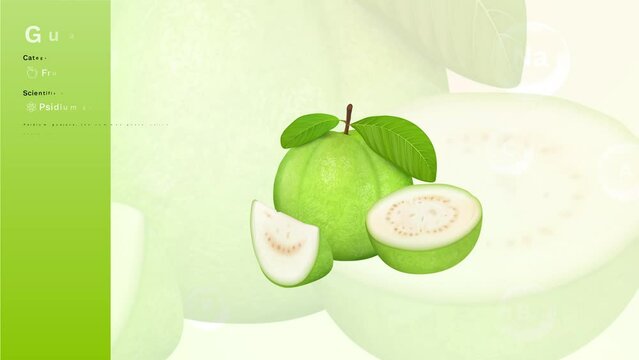 Guava Fruit and its Nutritional Properties with Minerals and Vitamins- Infographics Design