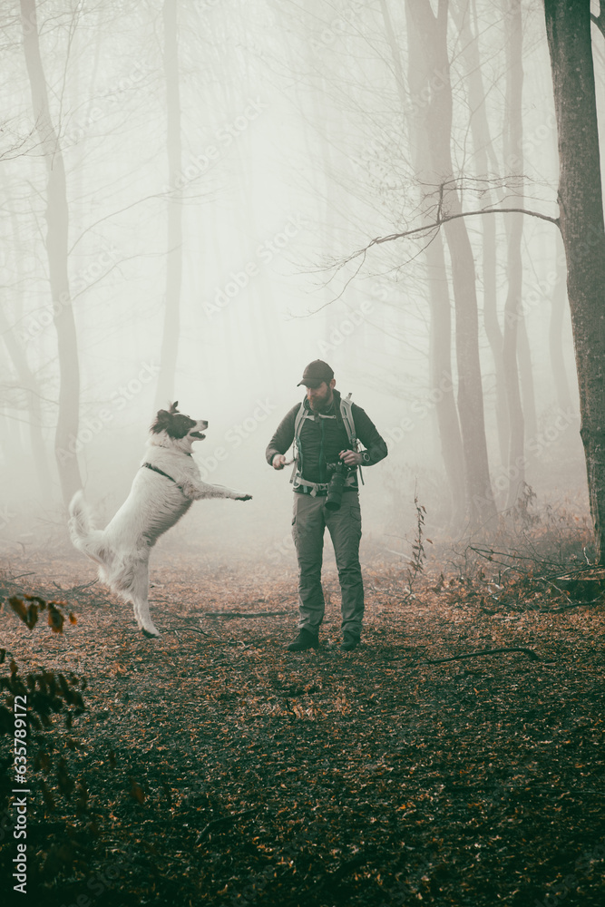 Wall mural happy dog and owner in foggy forest